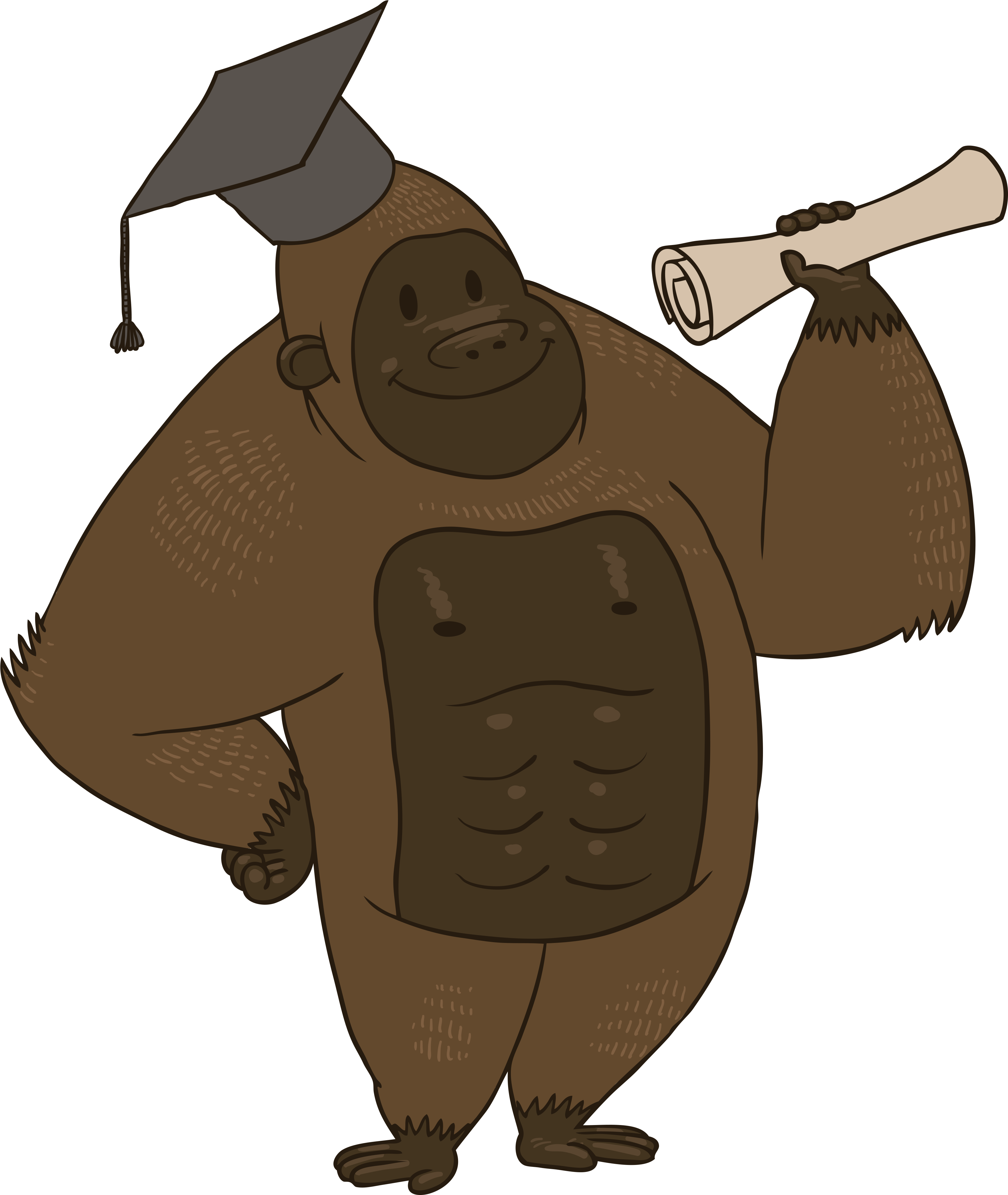 02 - Illustration (3720x4622), Png Download