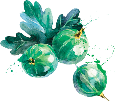 Personalized - Watercolor Berry Transparent (400x351), Png Download