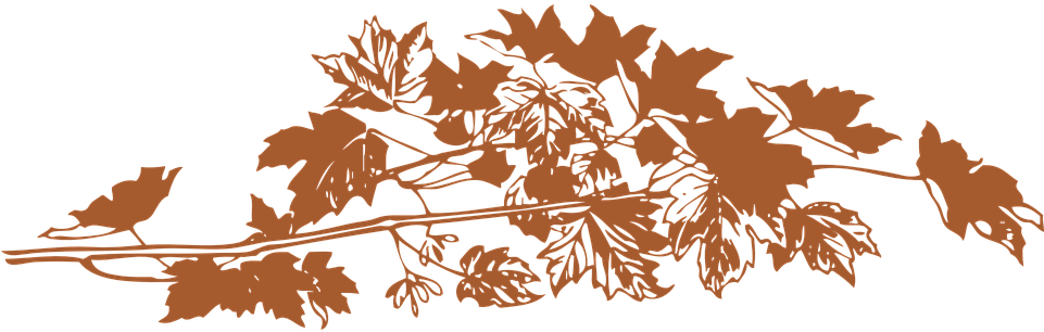 Brown Leaves, Leaves, Leaf, Beautiful Foliage Png Image - Autumn Leaves Png (960x480), Png Download