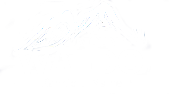 New Waldo Logo White1 - Snow We Trust Powder Monkeez Sweatshirt Birthday Gift (540x300), Png Download