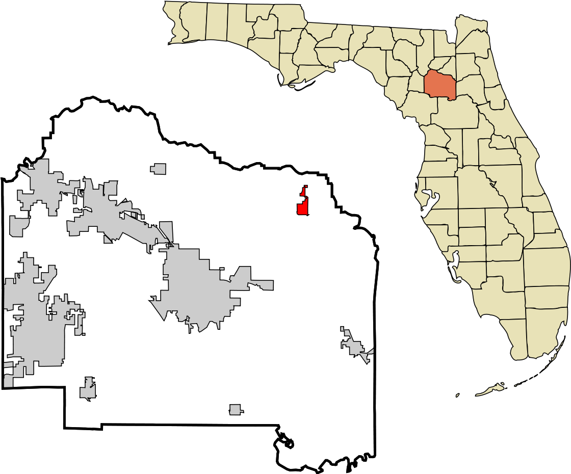 County Florida (1200x1040), Png Download