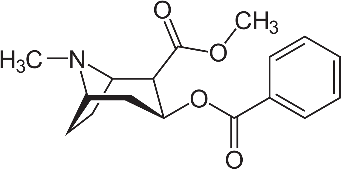 Cocaine Molecule (1200x593), Png Download