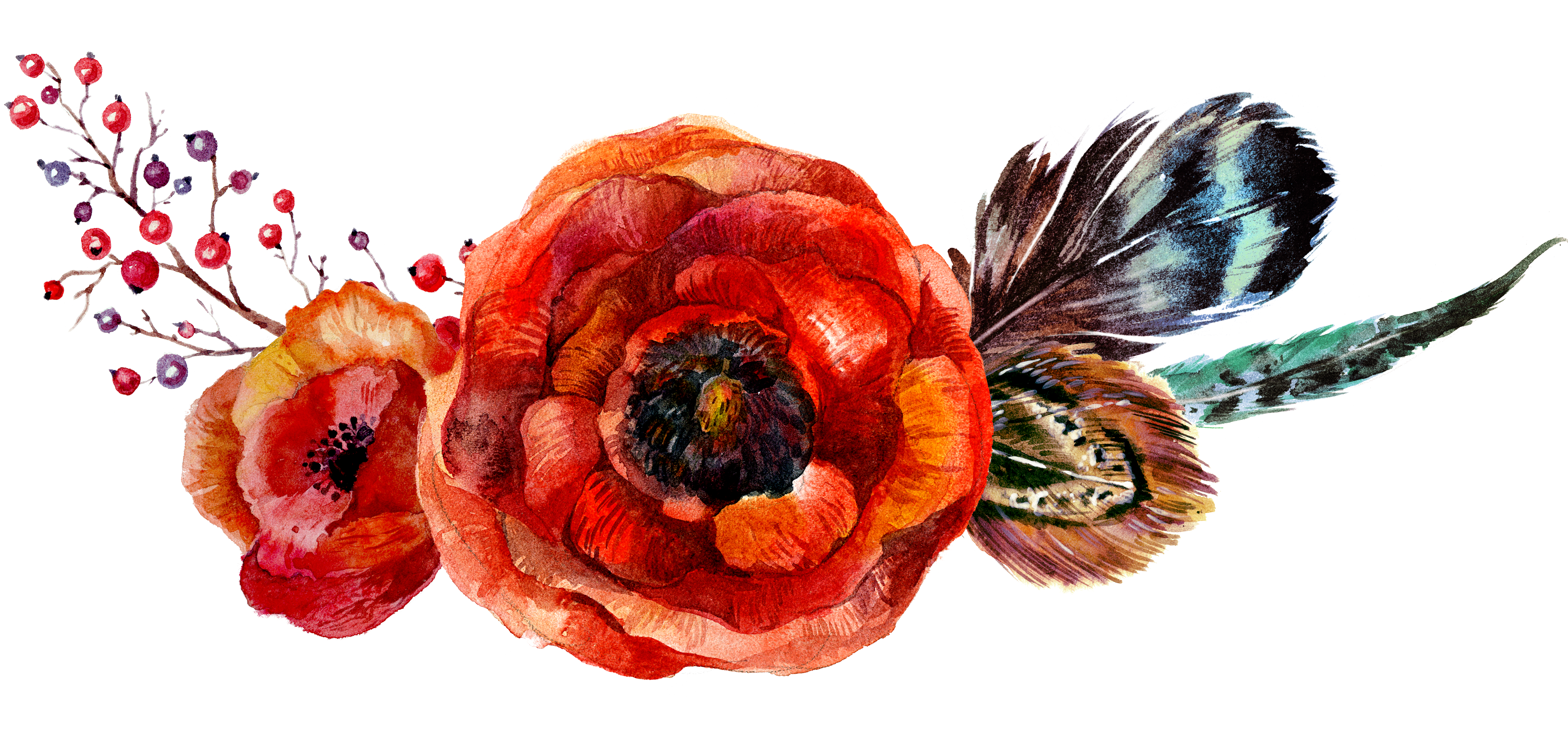 Poppy Flowers Flower Watercolor - Watercolor Flowers Vector Orange (4549x2191), Png Download