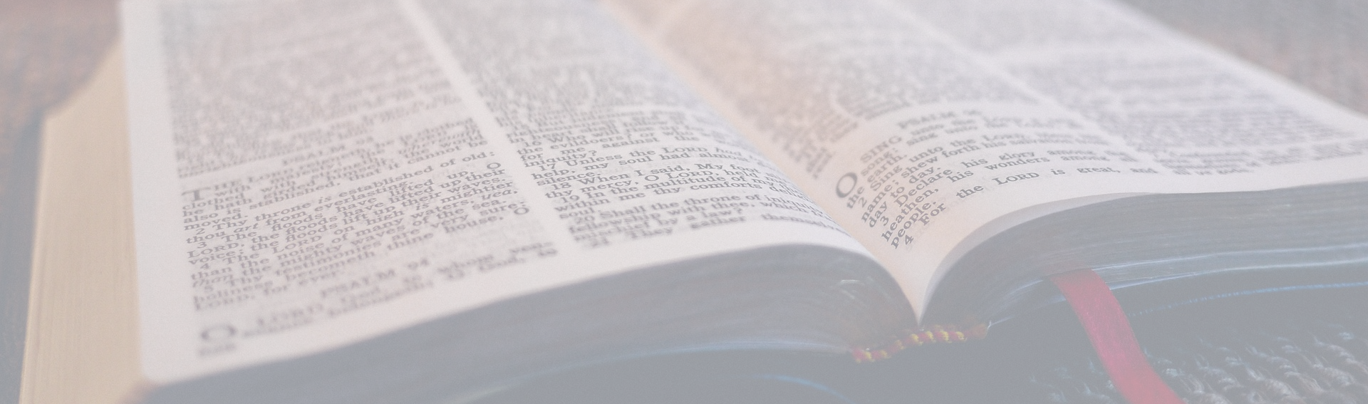 Meet The Counselors - Favor Or Luck? A Mini Autobiography (1920x567), Png Download