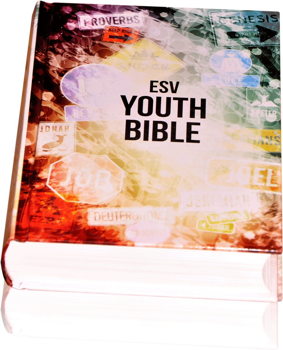 Psbesv Youth Bible - Flyer (1334x1334), Png Download