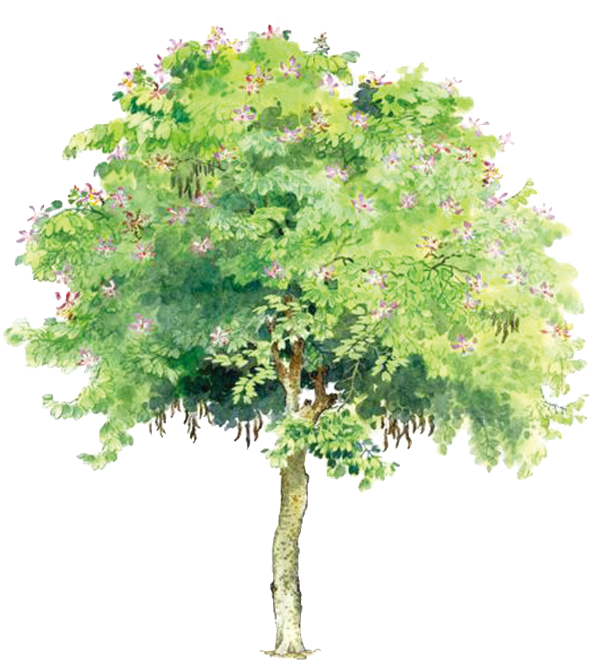 Pintado A Mano De Pintura Al Óleo Arbol Alta Definicion - Free Image Of Tree (1024x1024), Png Download