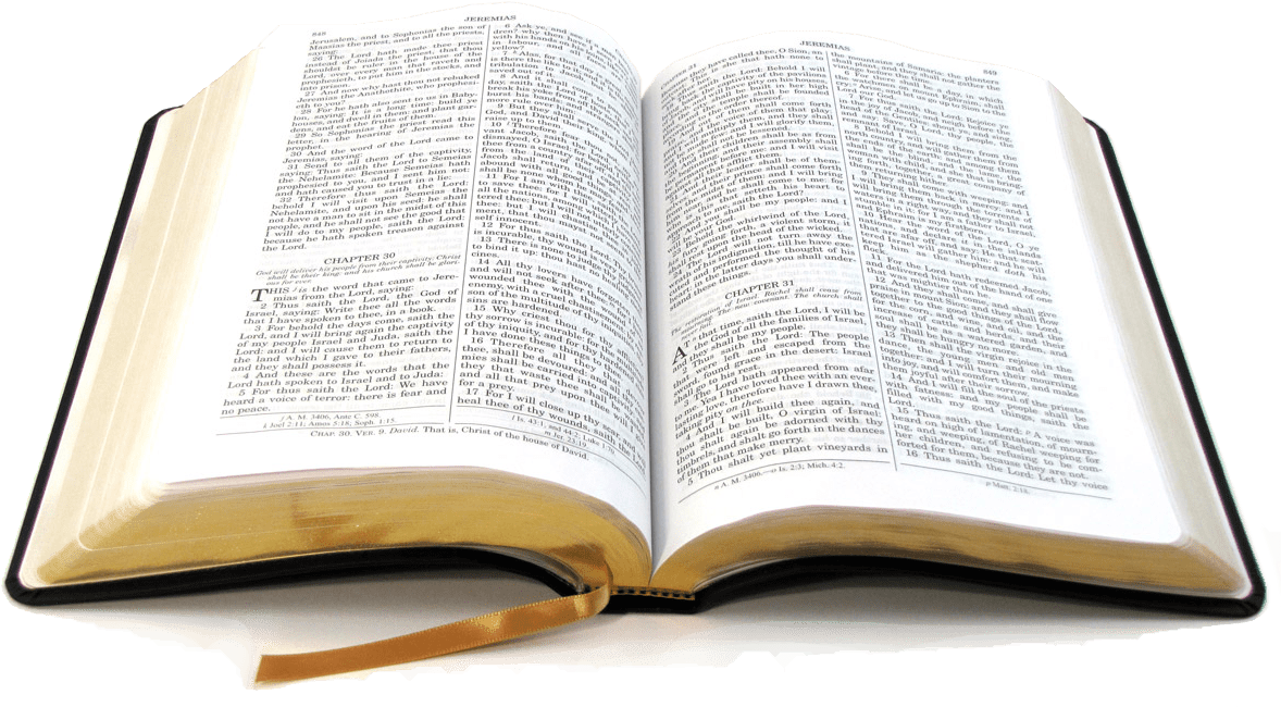 Bible - Bible For Beginners: A Basic Guide For Beginners (1193x662), Png Download