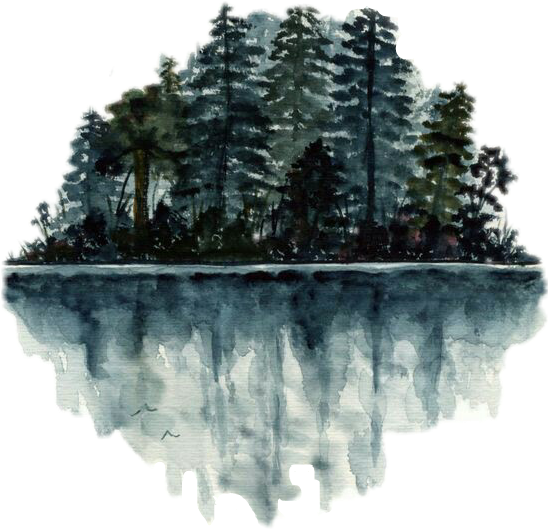 Bosque Arboles Pinosaluci Reflejos Cute Nature Agua - Twenty One Pilots Trees Tattoo (547x554), Png Download