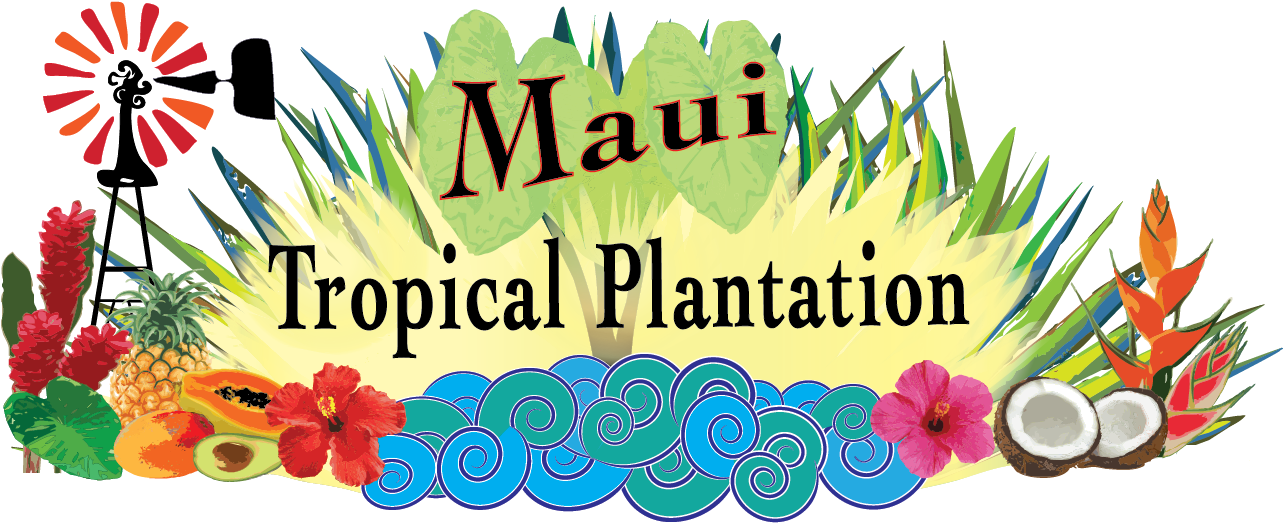 Maui Mountain Cruisers - Maui Tropical Plantation Logo (1282x865), Png Download