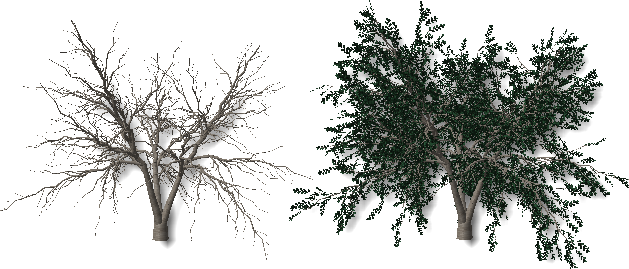 Leaves-001 - Arboles Sin Hojas Png (629x269), Png Download