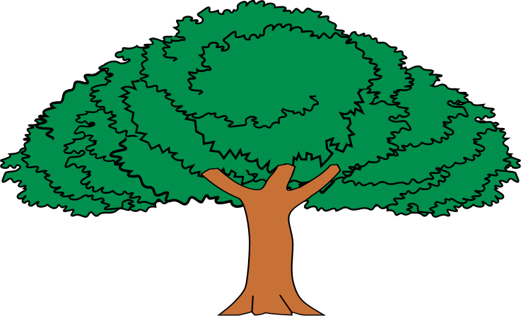 Arbol De Guanacaste Mueble Heraldico - Imagenes Del Arbol De Guanacaste (737x447), Png Download