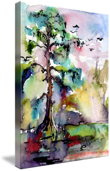 Moss Drawing Watercolor - Tree 1 Swamp Cypress Spanish Moss (419x650), Png Download
