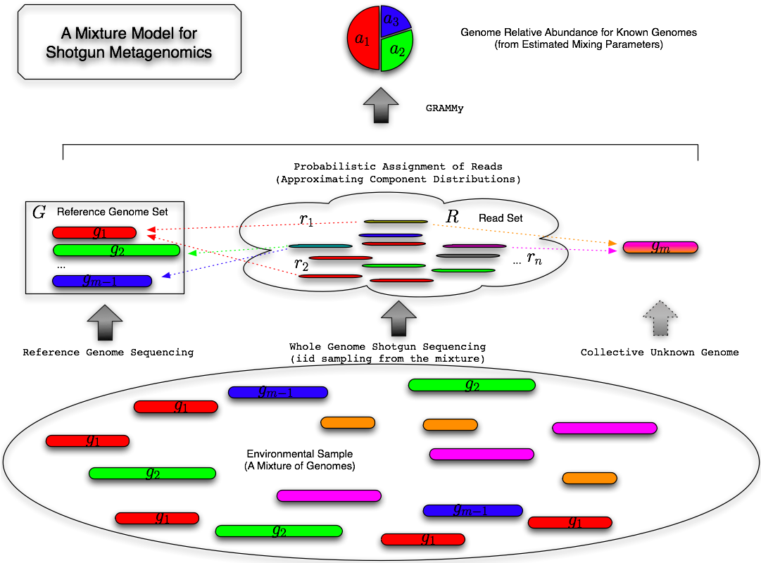 Grammy - Model - Mixture (1080x810), Png Download