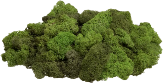 Rock Covered In Moss Png Picture Free Library - Transparent Moss Png (552x284), Png Download