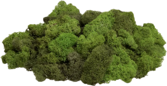 Download Rock Covered In Moss Png Picture Free Library - Transparent