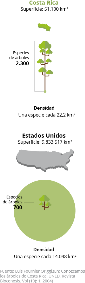 Lamentablemente, En Muchos Lugares No Han Comprendido - Tree (320x1022), Png Download