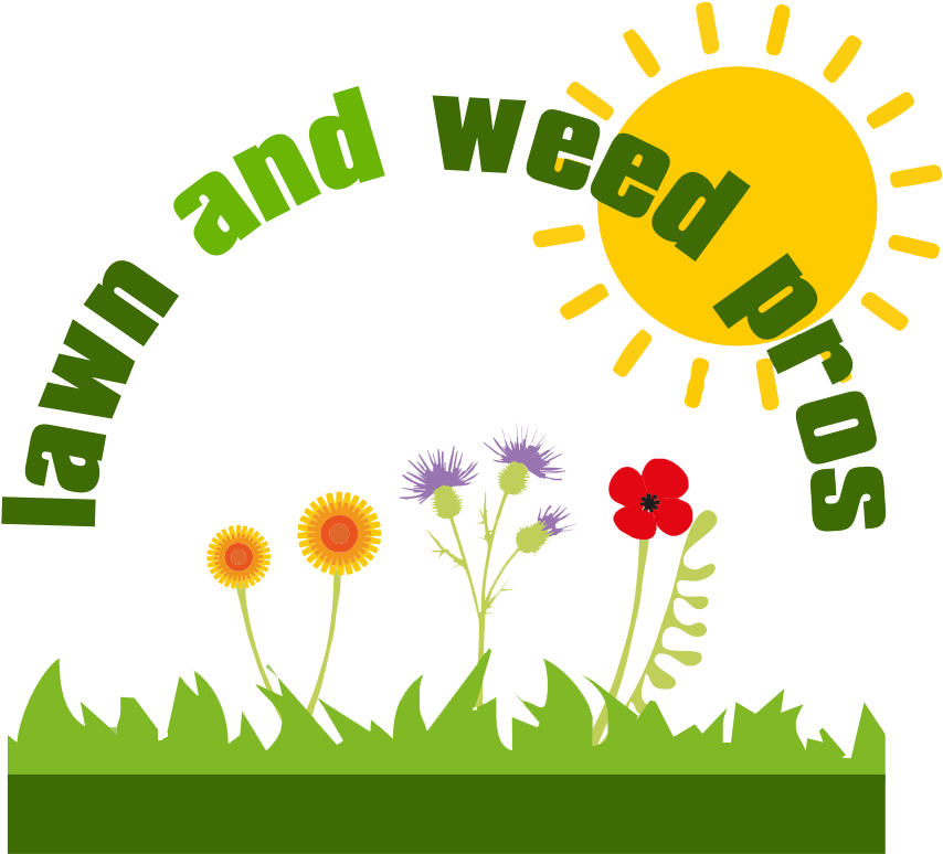 Weed Clipart Moss - Weed Lawn Clipart (923x841), Png Download