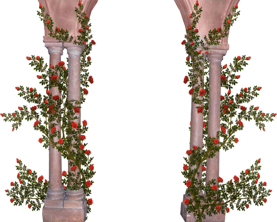 Column Arch Desktop Wallpaper - Pillar With Flowers Png (900x720), Png Download
