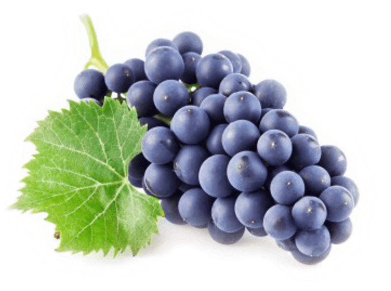 Free Png Grape Png Png Images Transparent - Grape Png (850x578), Png Download