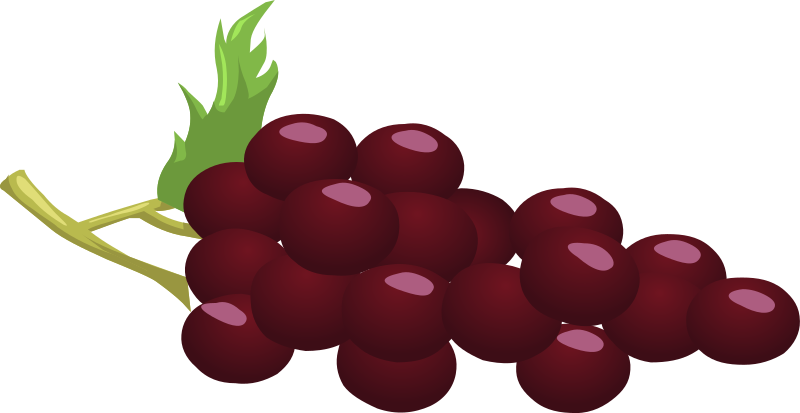 Grapes Fresh Grapes Png - Red Grapes Clipart (800x413), Png Download