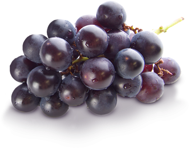 Grape Transparent Png - Dr. Marder Dry, Itchy Scalp Dandruff Shampoo, 6 Oz, (510x510), Png Download