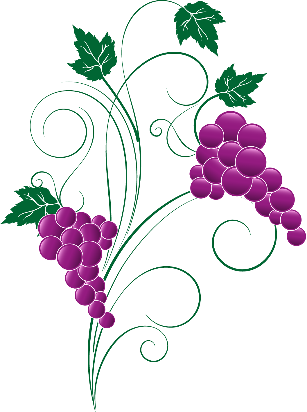 Amazing Grape Clipart Png Image X Grape Png Transparent - Png Transparent Clipart Grapes (1057x1419), Png Download