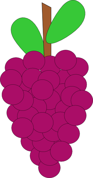 Cartoon Grape Clip Art 83575 - Animated Picture Of Grape (312x593), Png Download
