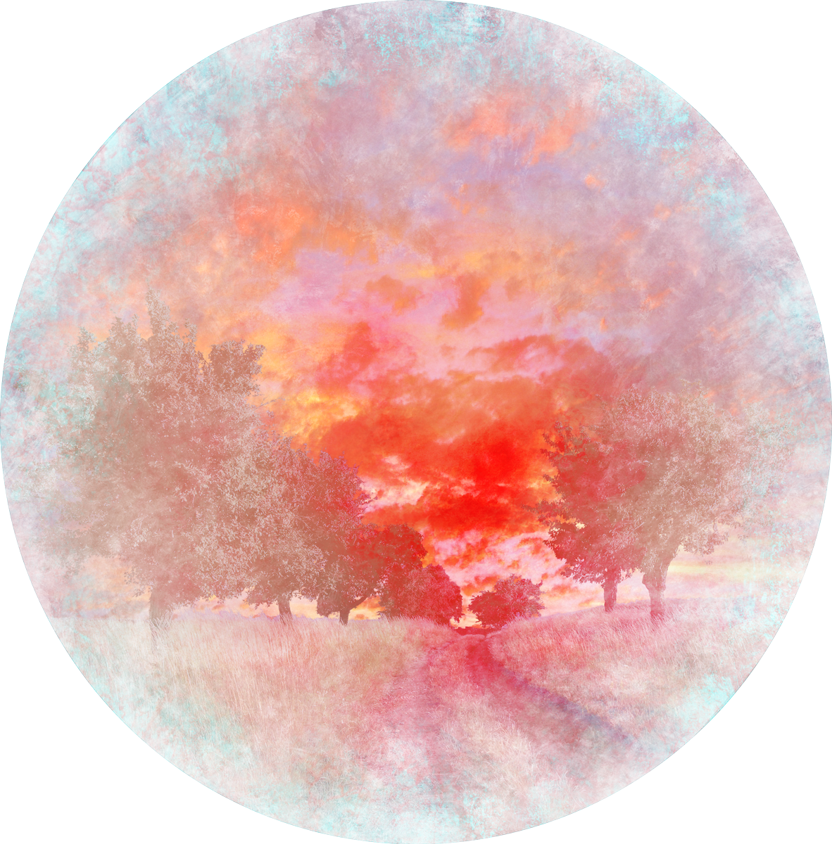 Circle (1182x1200), Png Download