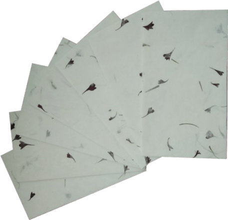 Plywood (456x456), Png Download