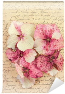 Vintage Pink Antiques (400x400), Png Download