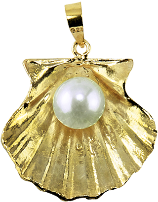 Scallop Pearl Pendant - Pendant (491x435), Png Download