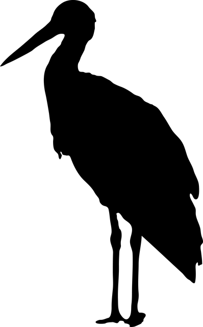 Stork Silhouette - Stork Bird Silhouette (398x640), Png Download