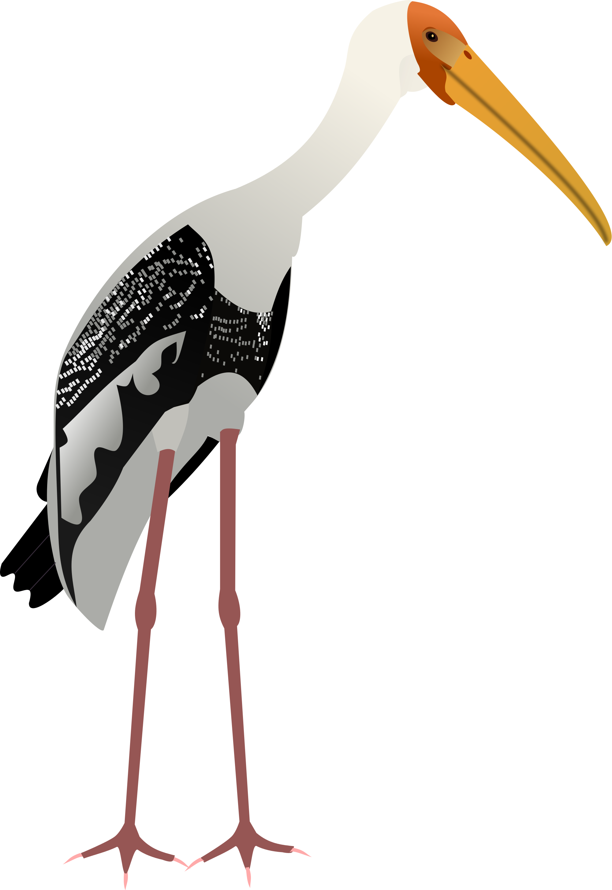 Open - Painted Stork Vector (2000x2911), Png Download