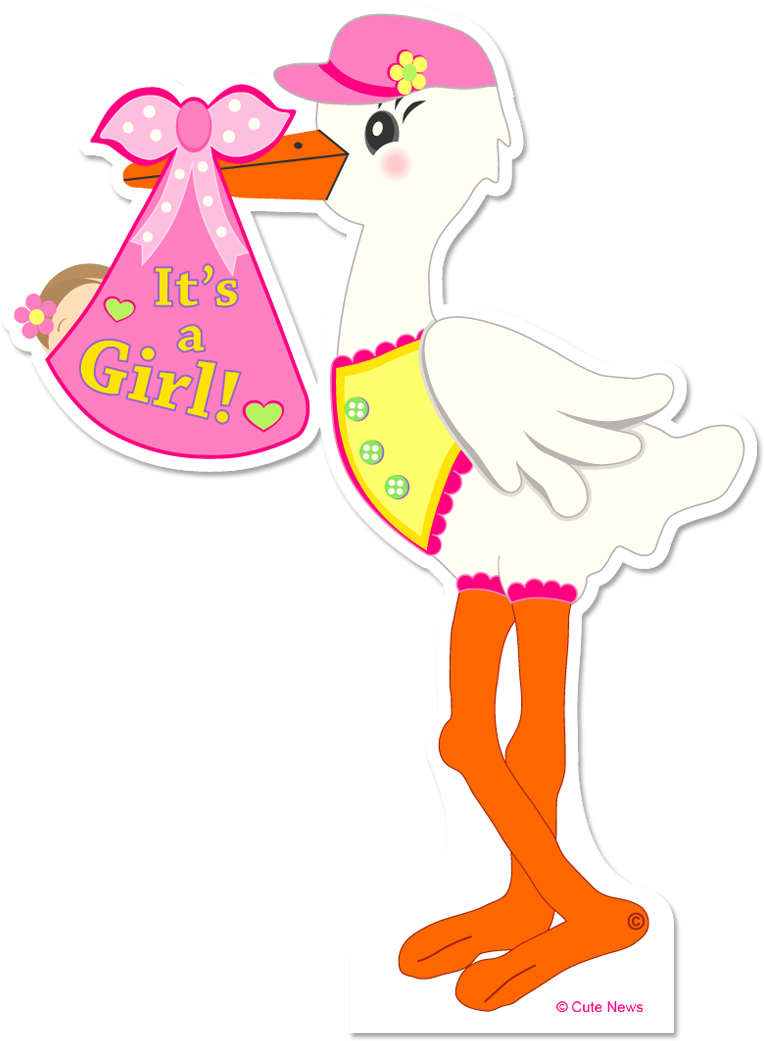 Clipart Standing Cute Borders - It's A Girl Lawn Stork (baby Announcement Sign) 4 Ft. (1039x1047), Png Download