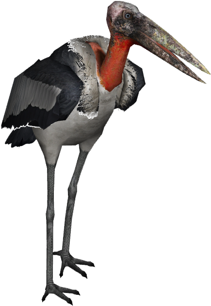 Giant Marabou Stork 2 - Giant Marabou Stork (630x630), Png Download