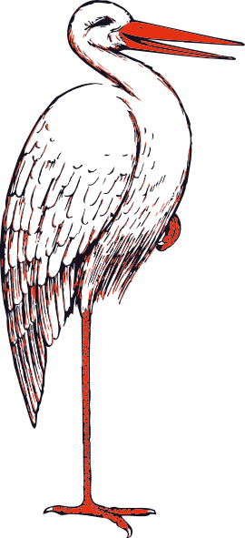 Stork In Color Svg Clip Arts 270 X 591 Px (270x591), Png Download