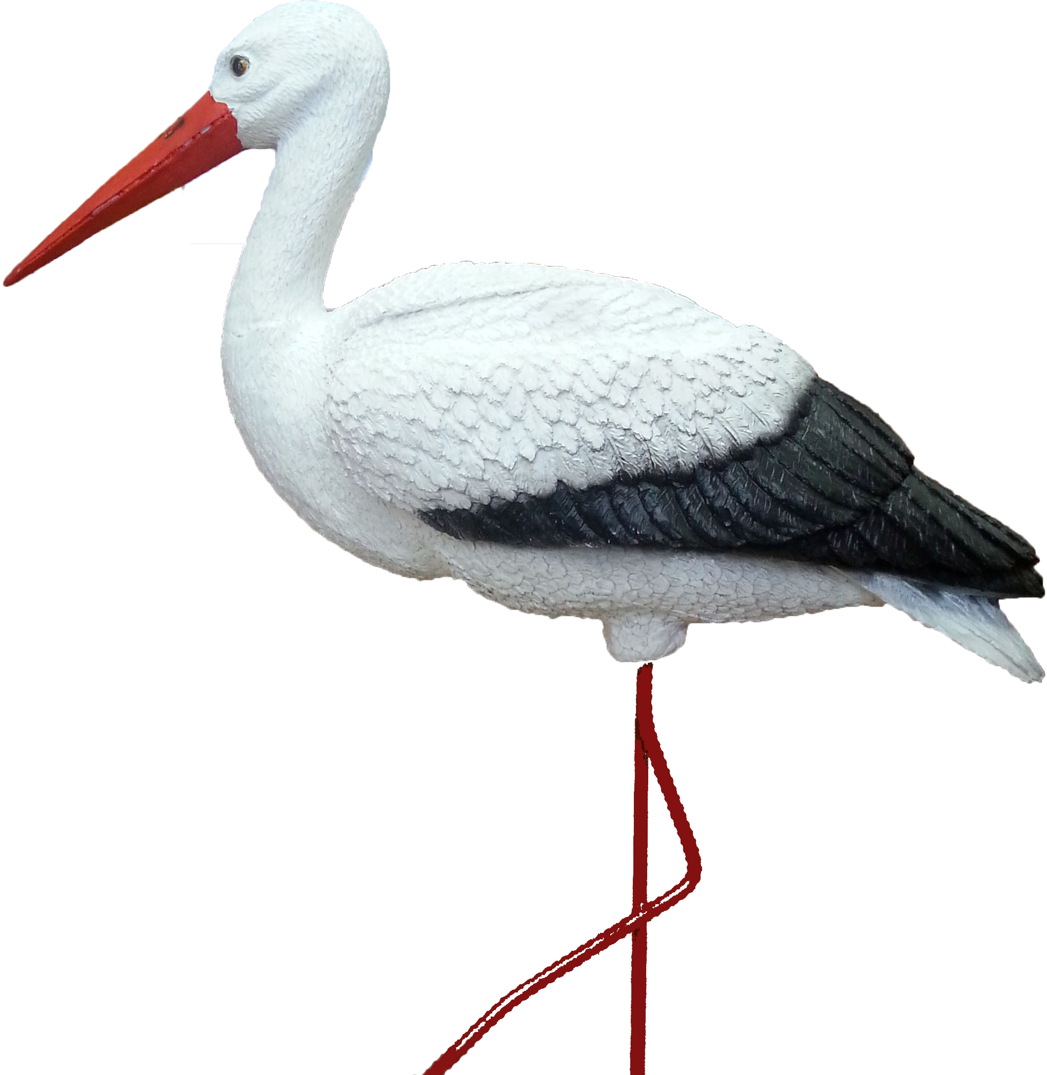 Stork Png - Аист Картинка (2040x2096), Png Download