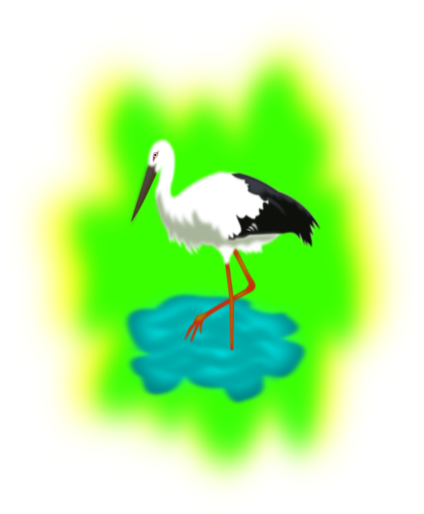 White Stork Water Bird Crane Beak - Stork In Water Clipart (649x750), Png Download