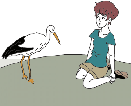 Stork (450x450), Png Download