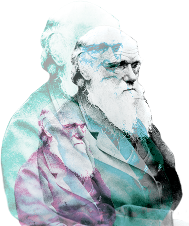Contact - Darwin And Darwinism 150 Years Later: Biblical Faith (460x460), Png Download