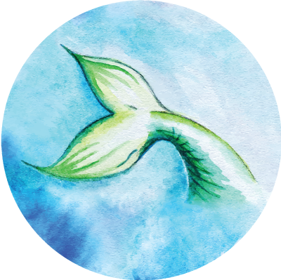 Mermaid Soul Round Pendant Necklace, Mermaid Tail, (400x399), Png Download