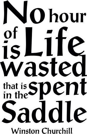 No Life Wasted - Poster (294x452), Png Download