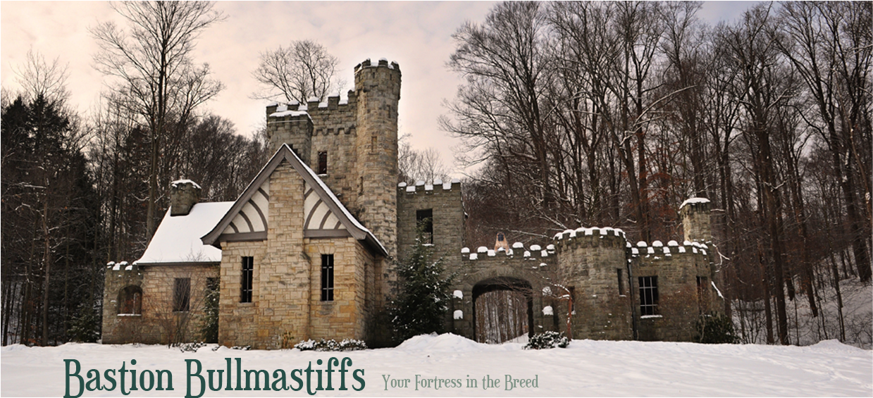 My Image - Squire's Castle (1400x565), Png Download