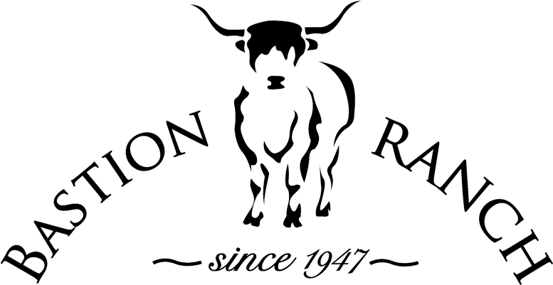 Bastion Ranch & Canoe Point Orchard Rv Park - Phi Phi Island Cabana Hotel Logo (800x400), Png Download