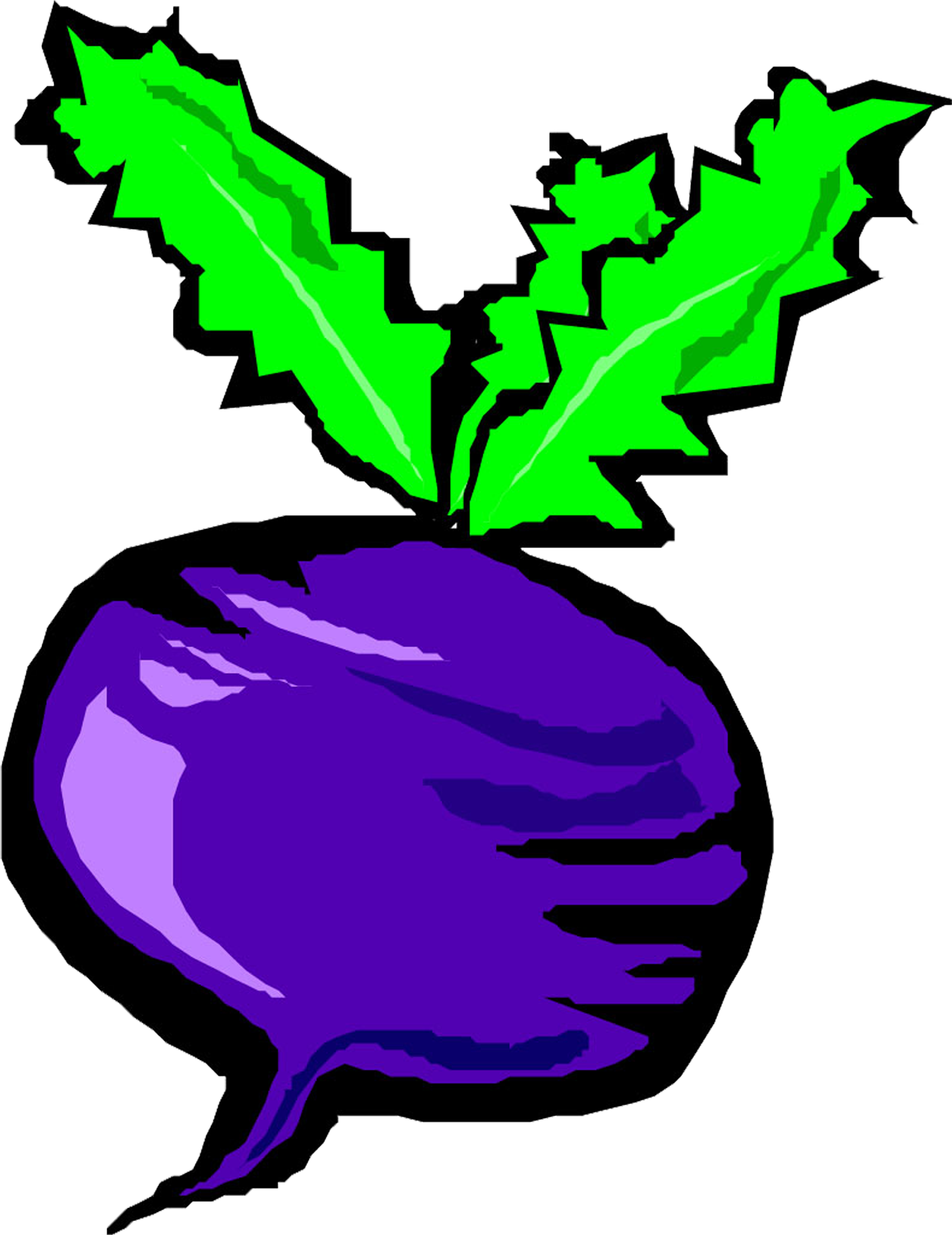 Banner Free Download Turnip Drawing Old - Eggplant (4051x2920), Png Download