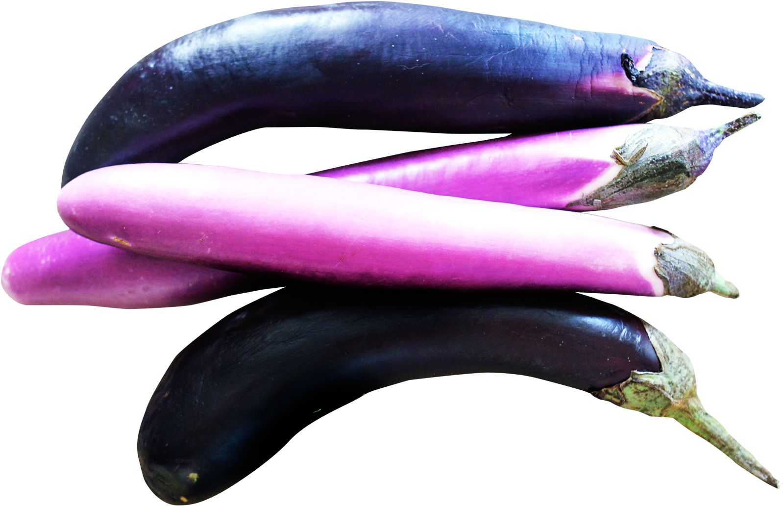 Plante Aubergine Clipart Transparent (1717x1188), Png Download