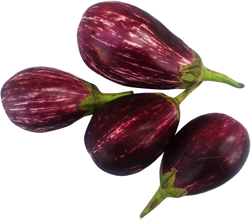 Png Freeuse Brinjal Png Image Purepng Free Cc Library - Eggplant (913x768), Png Download