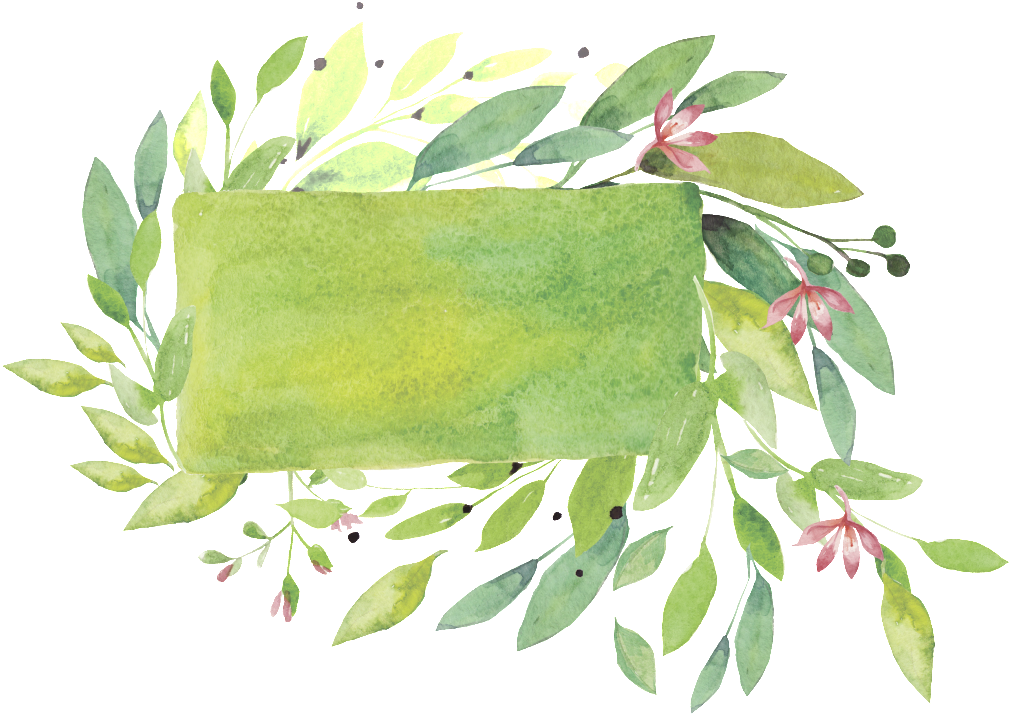 Leaf Border Decoration Vector - Portable Network Graphics (1024x796), Png Download