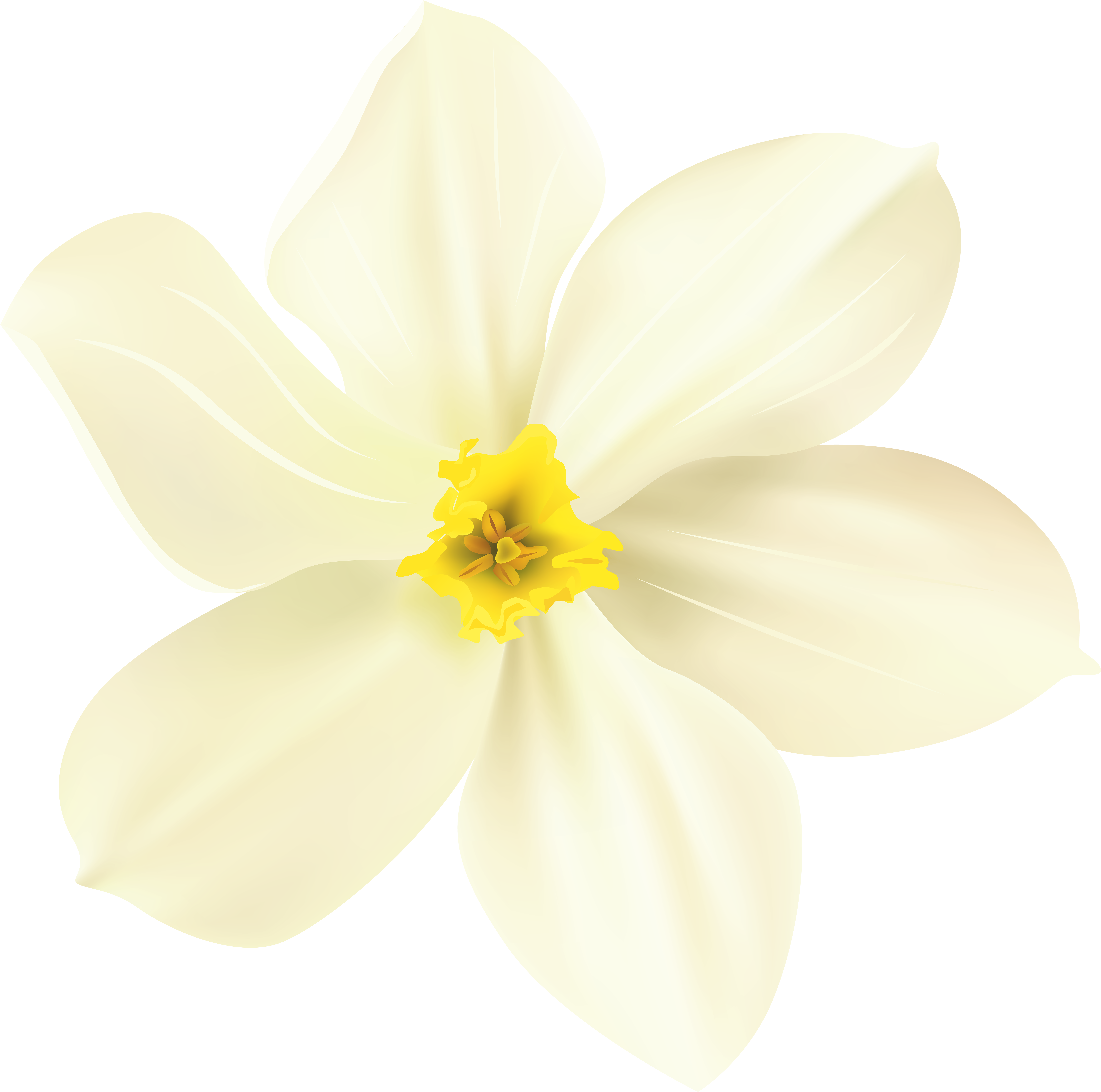 Spring Flower Png (8000x7935), Png Download