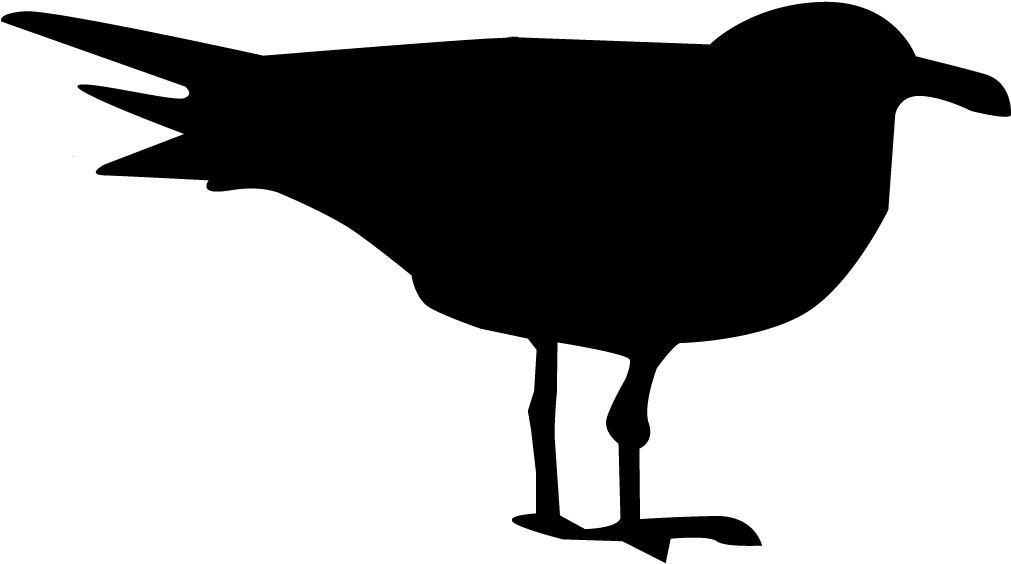Seagulls Silhouette At Getdrawings - Ring Billed Gull Silhouette (1024x1024), Png Download